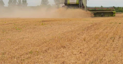 The harvester harvests ripe wheat and throws straw. Stock-Footage 252425302