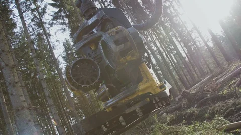 Harvester head close up Stockbeeldmateriaal 100325608