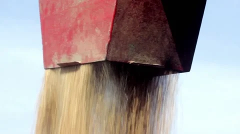Harvester loading trailer with wheat grains,extreme close up.Harvest. Stock Footage 40013178