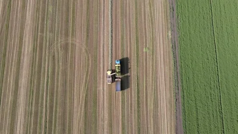 Harvester loading off Wheat Video stock 166019365