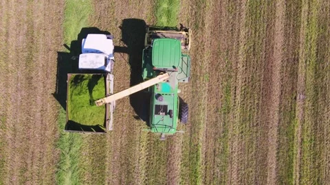 Harvester loads chopped grass into the back of a truck, aerial view. Stock Footage