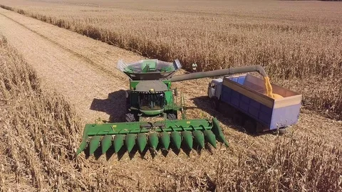 Harvester Loads Corn Grain From the Hopper into the Truck. View from Above Stock Footage 95565182