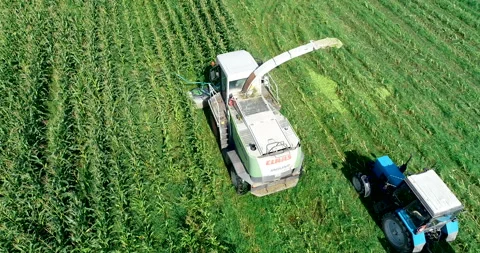 Harvester loads corn into a tractor. Aerial Video stock 95622012