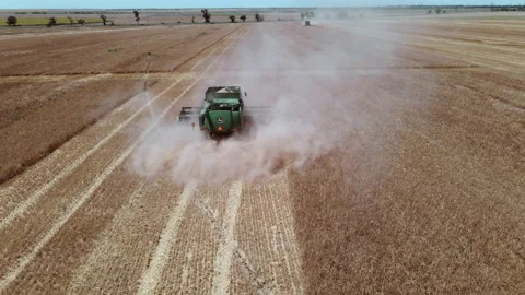 Harvester machine cut wheat crop in rural field 動画素材 157242150