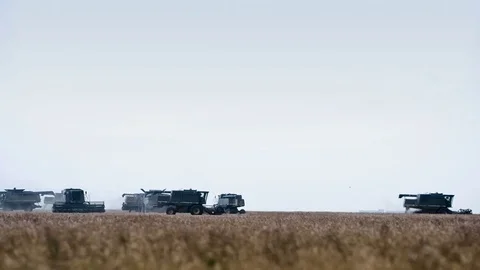 Harvester machine to harvest wheat field working. Combine harvester agriculture Video stock 75070617