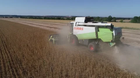 Harvester machine to harvest wheat field working. Stock Footage 210214951