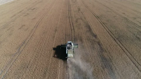 Harvester machine to harvest wheat field working. Stock Footage 210222232