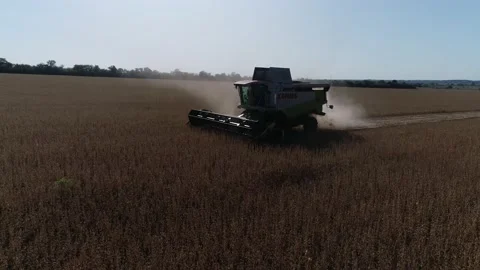 Harvester machine to harvest wheat field working. Stock Footage 210222789