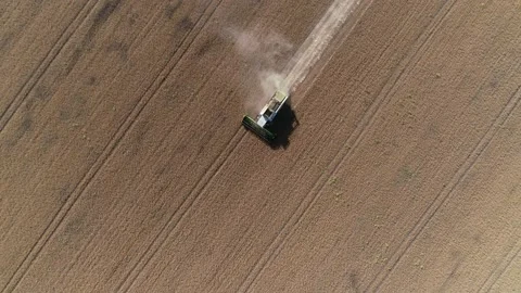 Harvester machine to harvest wheat field working. Stock Footage 210223607