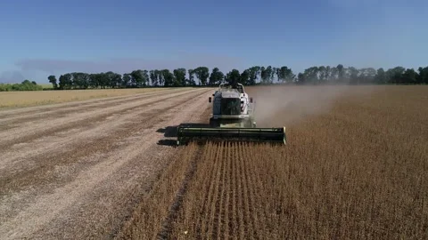 Harvester machine to harvest wheat field working. Stock Footage 210227970