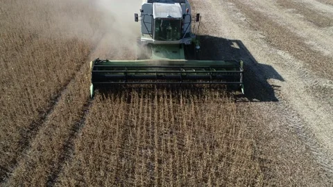 Harvester machine to harvest wheat field working. Stock Footage 210228058