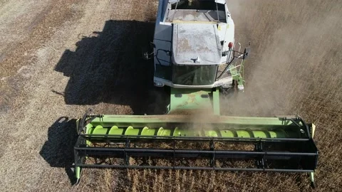 Harvester machine to harvest wheat field working. 스톡 동영상 210228064