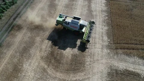 Harvester machine to harvest wheat field working. Vidéo 210228281