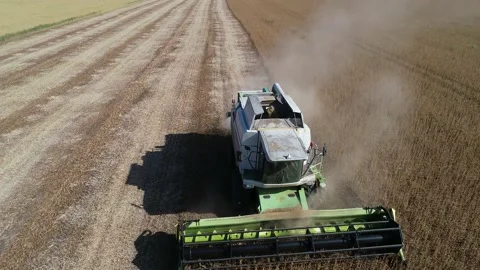 Harvester machine to harvest wheat field working. Vidéo 210228540