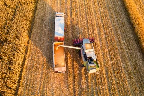 Harvester machine Foto stock
