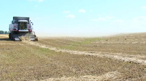 Harvester Machine. Work in the Field Video stock 62579602