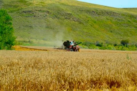 Harvester machine workin Stock Photos