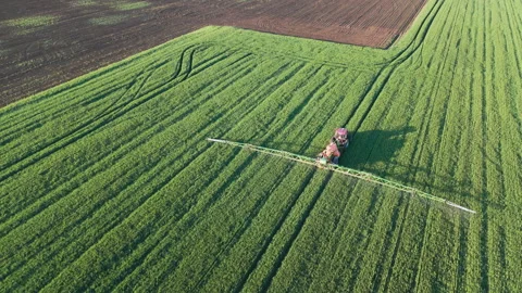 Harvester machine working in field. Aerial drone view Stock Footage 310656145