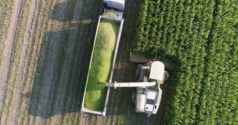 Harvester machine working in field Stockbeeldmateriaal 158081757