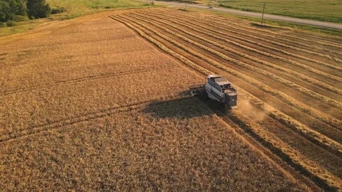 Harvester machine working in field Stock Footage 231369120