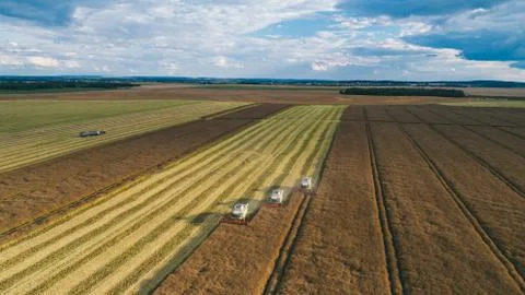 Harvester machine working in field Stock Photos