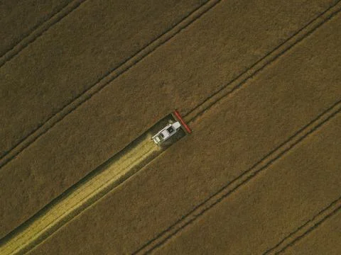 Harvester machine working in field Stock Photos