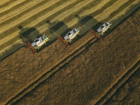 Harvester machine working in field Stock Photos