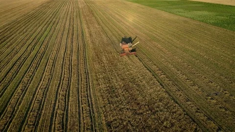 Harvester machine working in wheat field. Bird view Video stock 78093885