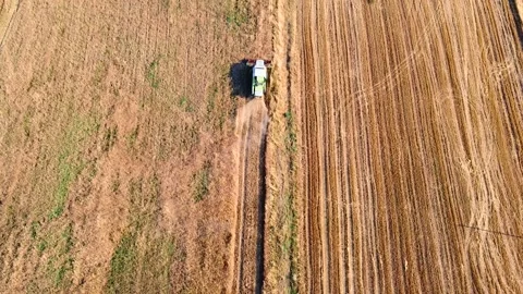 Harvester machine working on wheat field and harvesting ripe wheat. Aerial view 스톡 동영상 139922181
