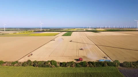 Harvester machine working in wheat field aerial view. Stock Footage 200730669