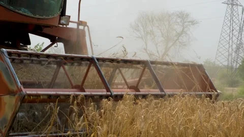 Harvester mower machine cuts wheat. Agricultural harvesting works. the harv.. Stock Footage 246476000