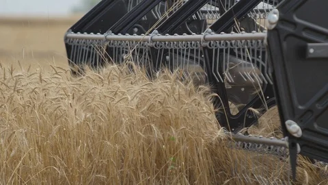 Harvester  mowing element Video stock 111880312