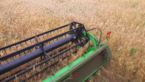 Harvester mows barley Stock Footage 81035531