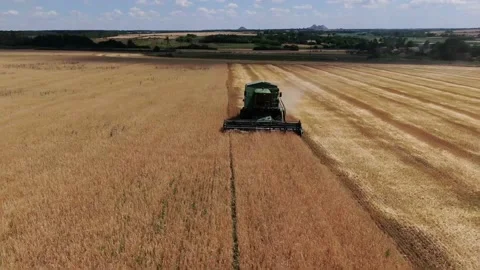 Harvester mows barley Stock Footage 134905503