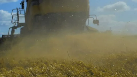 Harvester mows wheat Video stock 93145025