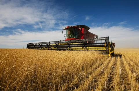 Harvester Stock Photos