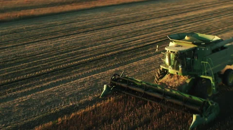 Harvester Processing Grain Video stock 42475998