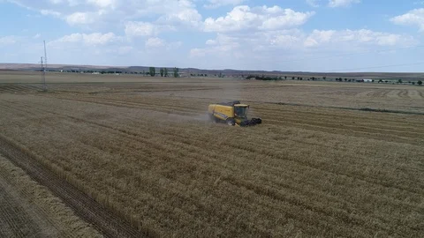 Harvester Processing Grain.AGRICULTURE IN TURKEY Видео 96123360