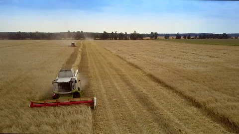 Harvester with reaper moves to camera making straw rolls 스톡 동영상 100250473