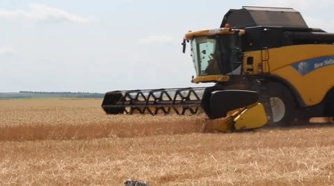 Harvester reaps wheat Stock Footage 52077925