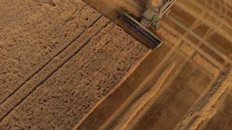 Harvester from right top Vídeos de archivo 116664518