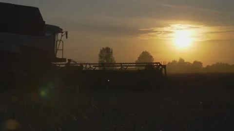 Harvester at sunset in the field Stock-Footage 157682705