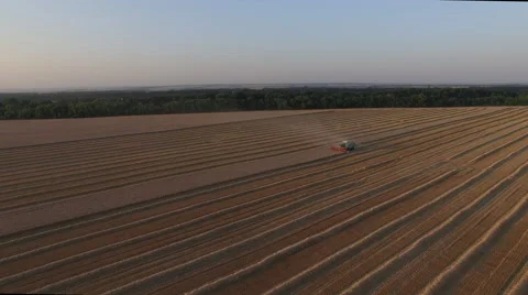 Harvester threshing wheat aerial view from afar Stock Footage 65250463