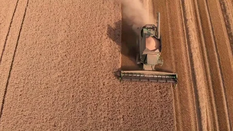 Harvester top bottom Vídeos de archivo 116664516