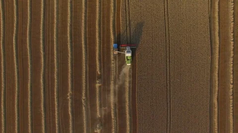 Harvester unload wheat top view Stock Footage 65249127