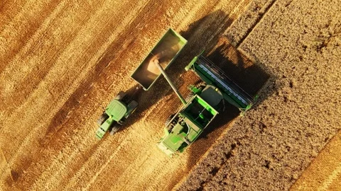 Harvester Unloading Crops in a Container Storage Carried by Tractor Field Work Stock-Footage 274143557