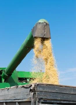 Harvester unloading soybeans Stock Photos
