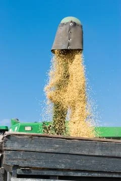 Harvester unloading soybeans Stock-Fotos