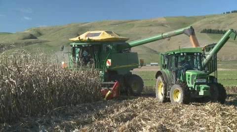 Harvester unloads corn Stock Footage