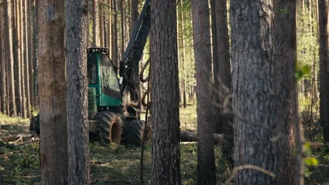 Harvester Vehicle Using Heavy Crane To Grab And Process Wooden Log Material Stock Footage 278226975
